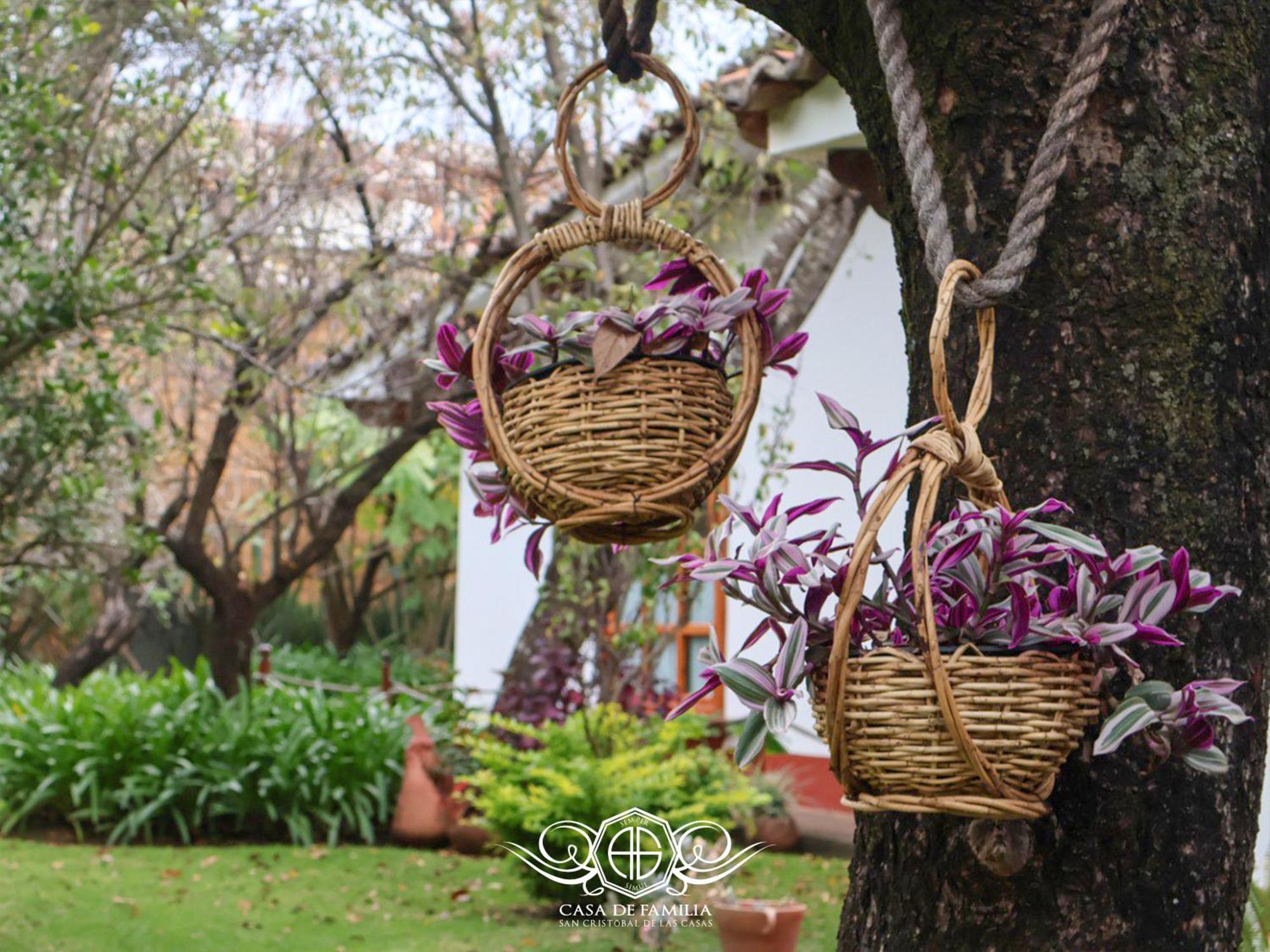 San Cristóbal de Las Casas Hotel Casa De Familia De San Cristobal מראה חיצוני תמונה